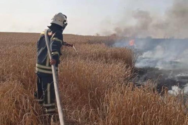 На Одещині горіло поле з пшеницею